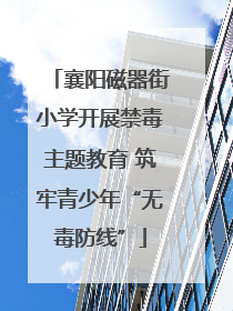 襄阳磁器街小学开展禁毒主题教育 筑牢青少年“无毒防线”