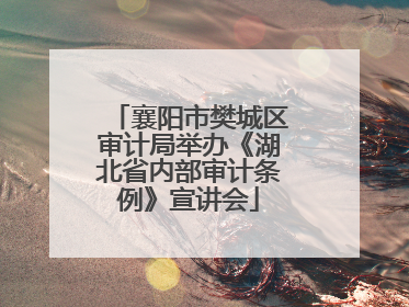 襄阳市樊城区审计局举办《湖北省内部审计条例》宣讲会