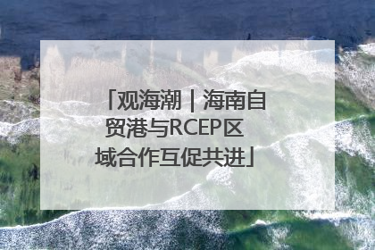观海潮｜海南自贸港与RCEP区域合作互促共进