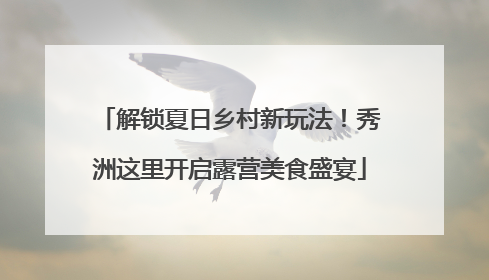 解锁夏日乡村新玩法！秀洲这里开启露营美食盛宴