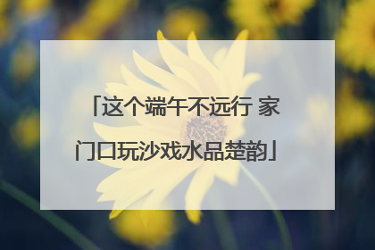 这个端午不远行 家门口玩沙戏水品楚韵