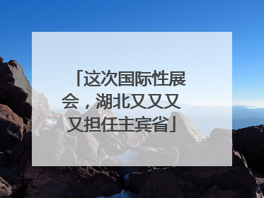 这次国际性展会，湖北又又又又担任主宾省