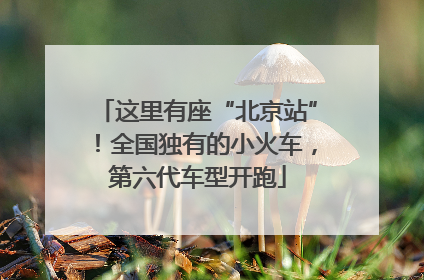 这里有座“北京站”！全国独有的小火车，第六代车型开跑