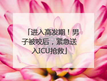 进入高发期！男子被咬后，紧急送入ICU抢救