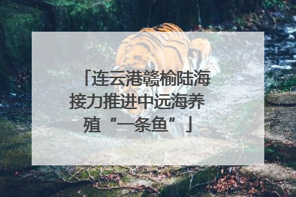 连云港赣榆陆海接力推进中远海养殖“一条鱼”