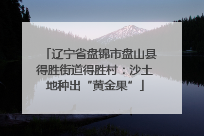 辽宁省盘锦市盘山县得胜街道得胜村：沙土地种出“黄金果”