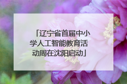 辽宁省首届中小学人工智能教育活动周在沈阳启动