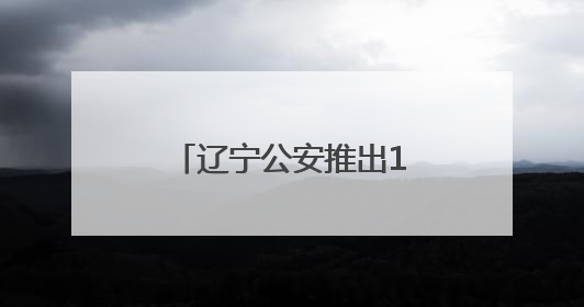 辽宁公安推出15项举措服务保障全面振兴新突破