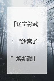 辽宁彰武：“沙窝子”焕新颜