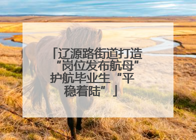 辽源路街道打造“岗位发布航母” 护航毕业生“平稳着陆”