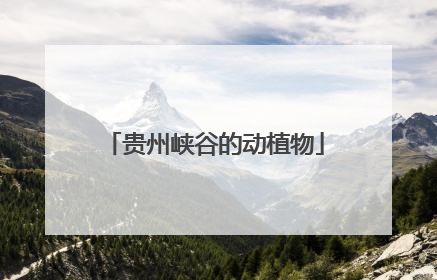 贵州峡谷的动植物