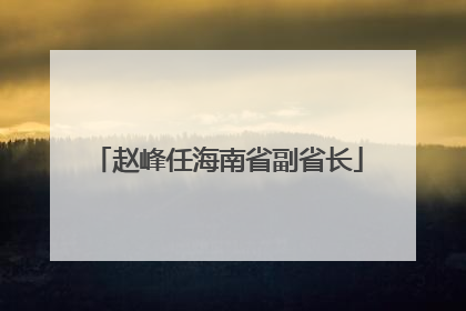 赵峰任海南省副省长