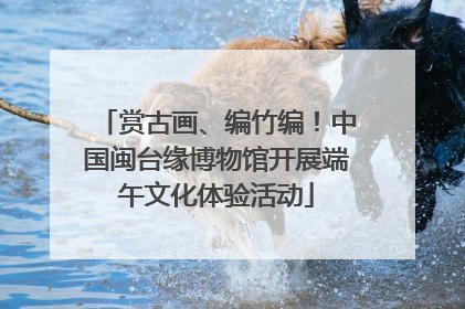 赏古画、编竹编！中国闽台缘博物馆开展端午文化体验活动