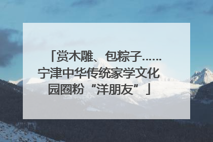 赏木雕、包粽子……宁津中华传统家学文化园圈粉“洋朋友”