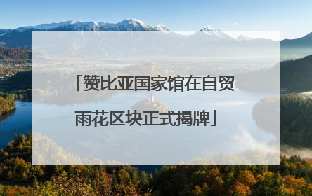 赞比亚国家馆在自贸雨花区块正式揭牌