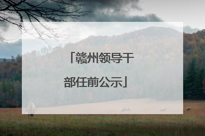 赣州领导干部任前公示