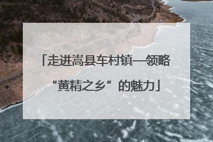 走进嵩县车村镇—领略“黄精之乡”的魅力