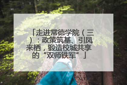 走进常德学院（三）：政策筑基、引凤来栖，锻造校城共享的“双师铁军”
