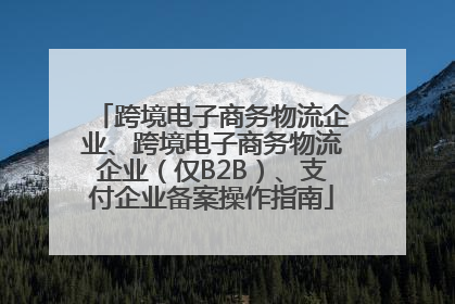 跨境电子商务物流企业、跨境电子商务物流企业（仅B2B）、支付企业备案操作指南