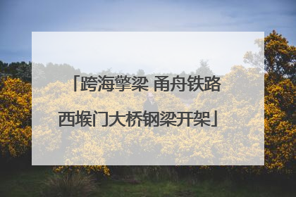 跨海擎梁 甬舟铁路西堠门大桥钢梁开架