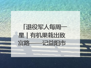 退役军人每周一星｜有机果栽出致富路——记益阳市银城南湖蔬果农民专业合作社总经理晏桂明