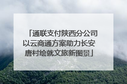 通联支付陕西分公司以云商通方案助力长安唐村绘就文旅新图景