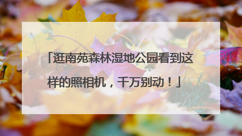 逛南苑森林湿地公园看到这样的照相机，千万别动！