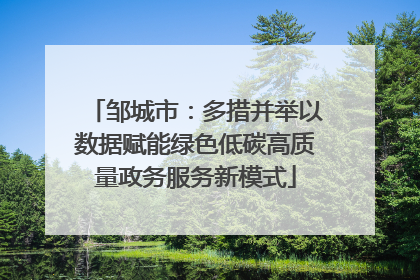 邹城市：多措并举以数据赋能绿色低碳高质量政务服务新模式