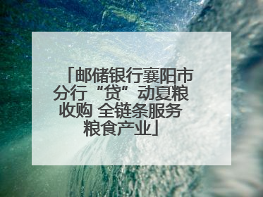 邮储银行襄阳市分行“贷”动夏粮收购 全链条服务粮食产业