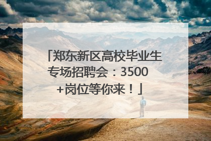 郑东新区高校毕业生专场招聘会：3500+岗位等你来！