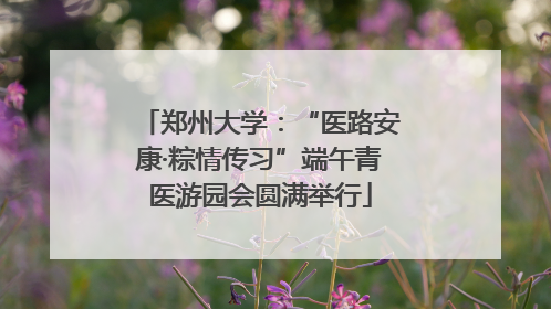 郑州大学：“医路安康·粽情传习”端午青医游园会圆满举行