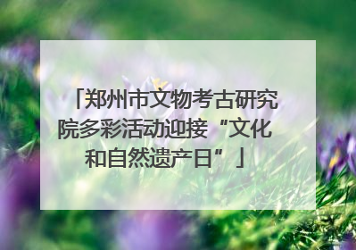 郑州市文物考古研究院多彩活动迎接“文化和自然遗产日”