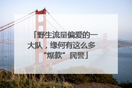 野生流量偏爱的一大队，缘何有这么多“爆款”民警