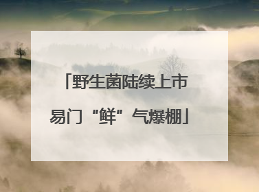 野生菌陆续上市 易门“鲜”气爆棚