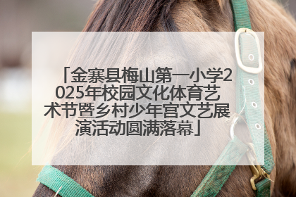 金寨县梅山第一小学2025年校园文化体育艺术节暨乡村少年宫文艺展演活动圆满落幕