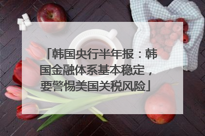 韩国央行半年报：韩国金融体系基本稳定，要警惕美国关税风险
