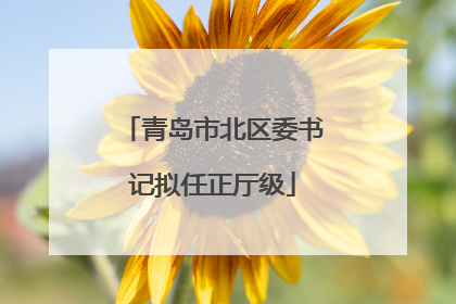 青岛市北区委书记拟任正厅级