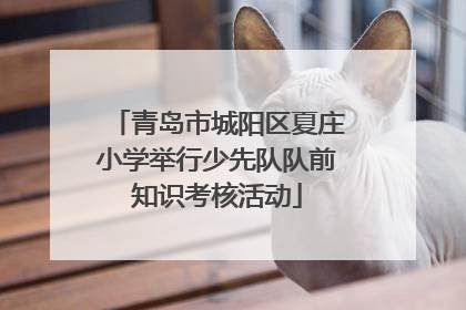 青岛市城阳区夏庄小学举行少先队队前知识考核活动
