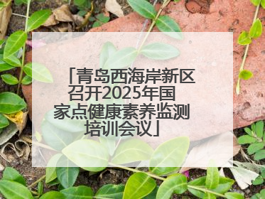青岛西海岸新区召开2025年国家点健康素养监测培训会议