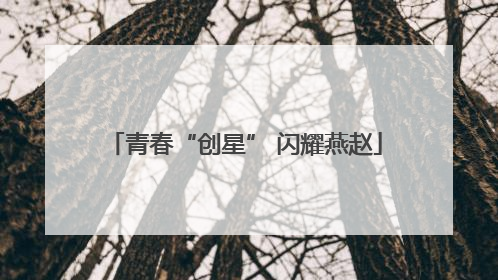 青春“创星” 闪耀燕赵