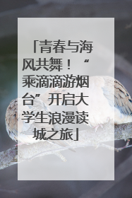 青春与海风共舞！“乘滴滴游烟台”开启大学生浪漫读城之旅