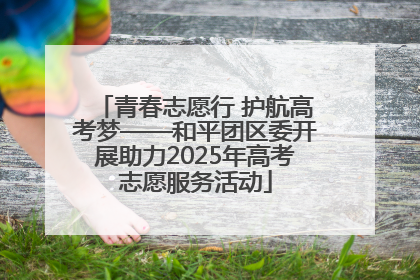 青春志愿行 护航高考梦——和平团区委开展助力2025年高考志愿服务活动