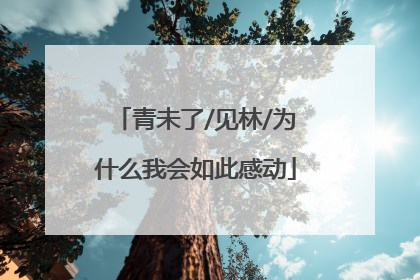 青未了/见林/为什么我会如此感动