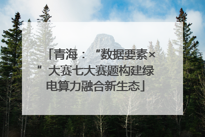 青海：“数据要素×”大赛七大赛题构建绿电算力融合新生态