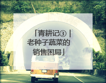 青耕记③｜老种子蔬菜的销售困局