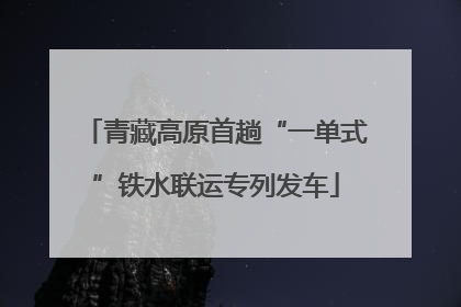青藏高原首趟“一单式”铁水联运专列发车