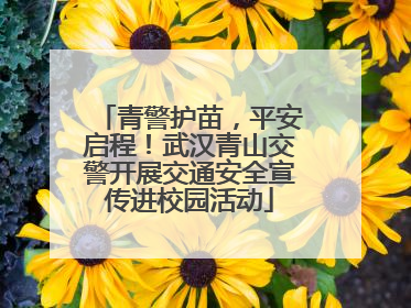 青警护苗，平安启程！武汉青山交警开展交通安全宣传进校园活动