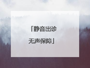 静音出诊 无声保障