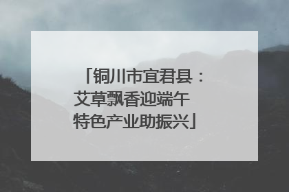 铜川市宜君县：艾草飘香迎端午 特色产业助振兴