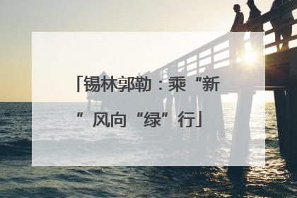 锡林郭勒：乘“新”风向“绿”行